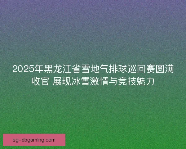 2025年黑龙江省雪地气排球巡回赛圆满收官 展现冰雪激情与竞技魅力